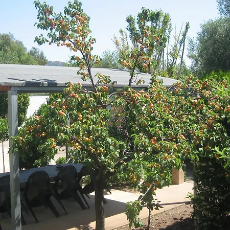 Primavera Appartamento