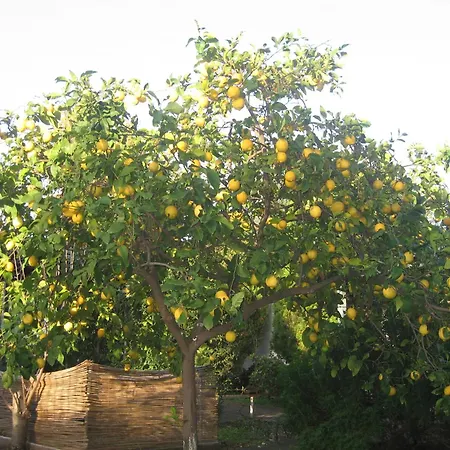 Primavera Appartamento